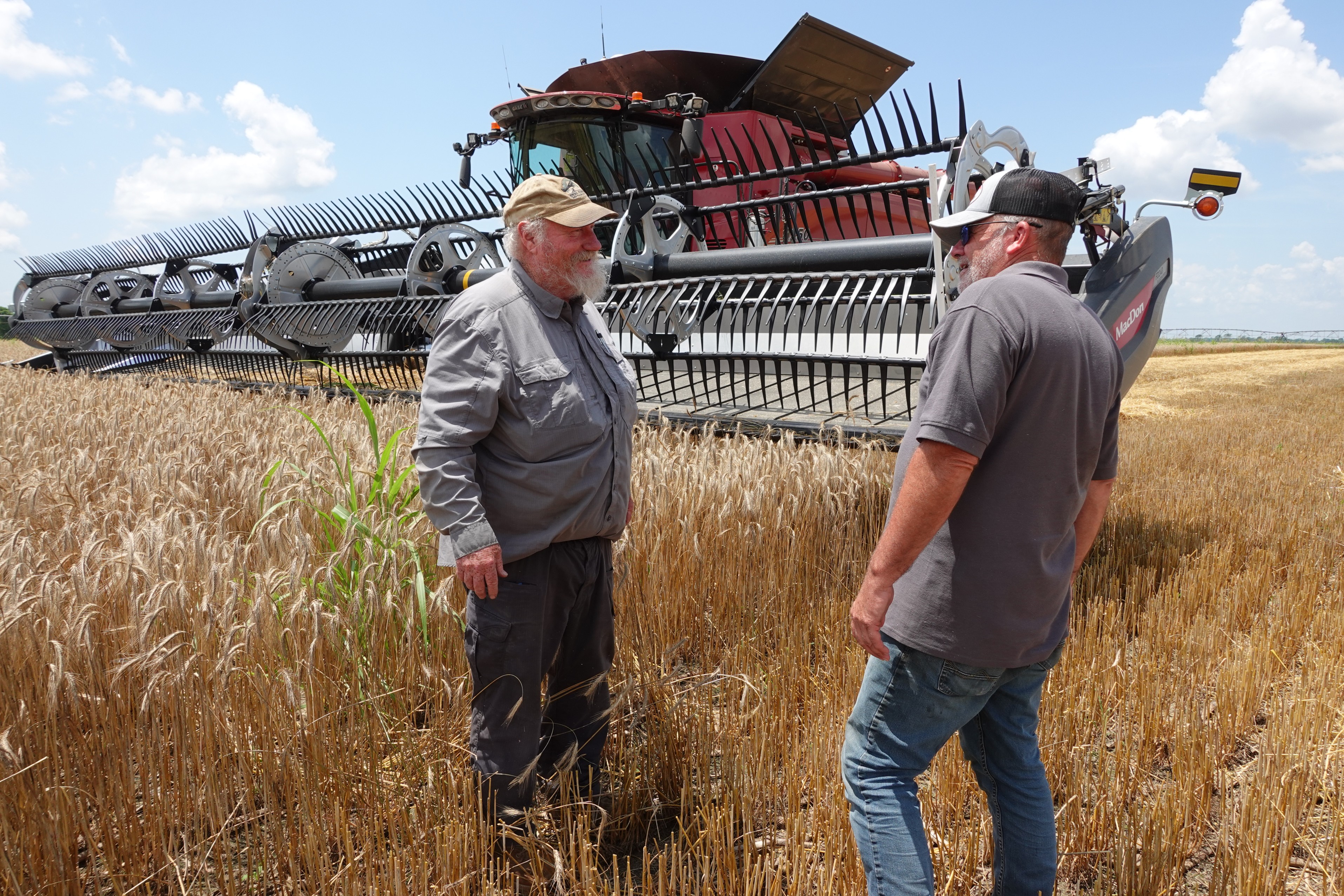 JPD uses grain from local farmers