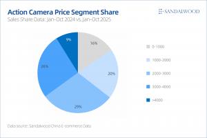 Action Camera Price Segment Share（1）