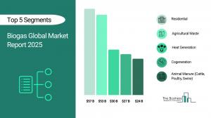 Biogas Market Segments 2025.webp