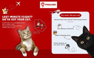 Pawland cat sitter in Dubai offering last-minute care, feeding, litter cleaning and photo updates