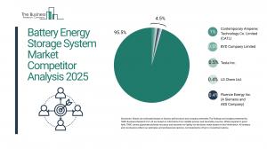 Battery Energy Storage System Global Market Report 2025_Competitor.webp