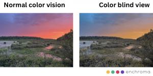 Two photos of the same view at Black Moshannon State Park demonstrating how the color correcting goggles work.