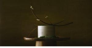 Yii 推出的8品均獲得日本《藥機法》中「醫藥部外品」的認證,此類別介於化妝品與藥品之間,需經過日本厚生勞動省的嚴格審批及監管,確保安全性與功效,長期使用無累積毒性之慮。