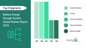 Battery Energy Storage System Global Market Report 2025_Segments.webp