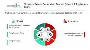 Biomass Power Generation Global Market Report 2025_Drivers.webp