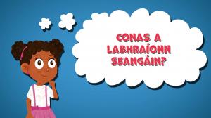  Conas a Labhraíonn Seangáin clip thumbnail from HighFive Facts series on LearningMole