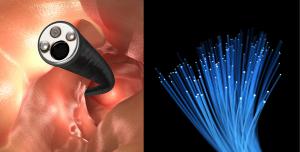 Polymer Optical Fiber for endoscopy devices