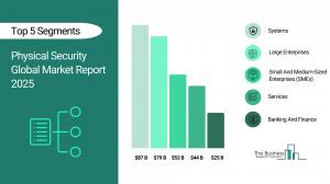 Physical Security Market