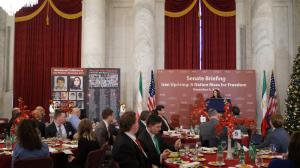 Senator Martha McSally (R-AZ) at senate OIAC Briefing on Iran
