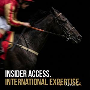 RaceX Racehorse Syndication - International Experience