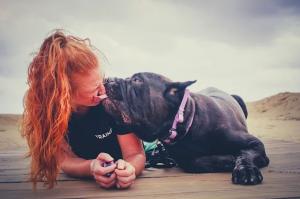 Off Leash Training Hampton Roads