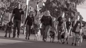 OffLeash Training Southern CA