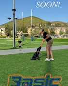 OffLeash Training Southern CA