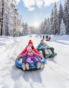 A family riding inflatable snow tubes together down a snow-covered hill, sharing a joyful winter moment outdoors.