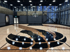 Raptors Court