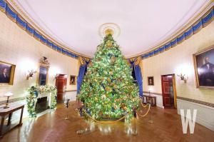 The Official White House Christmas Tree Surrounded by Custom Gold Toned Ropes from Lavi Industries
