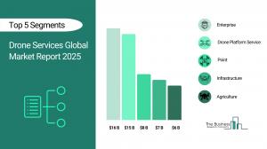drone services market outlook