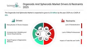 Organoids And Spheroids Global Market Report 2026