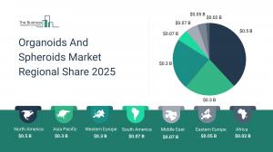 Organoids And Spheroids Global Market Report 2026