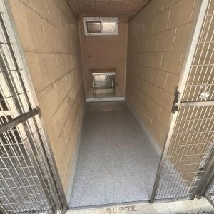 Outdoor Kennel Flooring