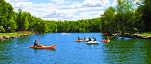 A serene lake scene with kayakers in vibrant orange kayaks, surrounded by lush greenery and a clear blue sky.