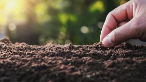 organic farming vermicompost supplier