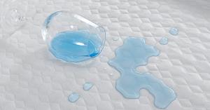 (new) Bamboo Essence 5-Sided Mattress Protector by The Beloit Mattress Company