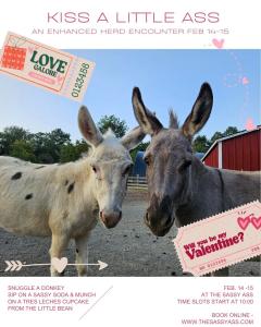 Celebrate Valentine's Day at The Sassy Ass with Donkeys