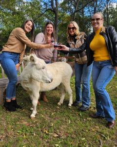 Group of girls drinking wine and celebrating a birthday with the Donkeys of The Sassy Ass