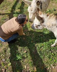 Girl drinking wine and greeting two spotted donkeys