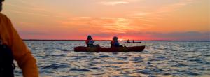 BK Adventure Sunset-Bioluminescence Tour