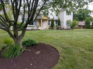 Photo of Lydia's Home