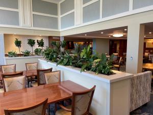 stone countertop fabrication and installation