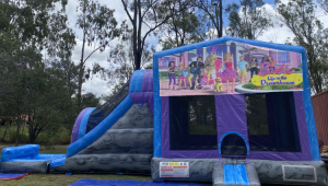 Jumping Castle Hire In Brisbane, QLD - GoWild Castles & Party Hire