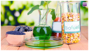 Biodiesel