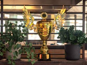 Thunderbird Wing Fest Award