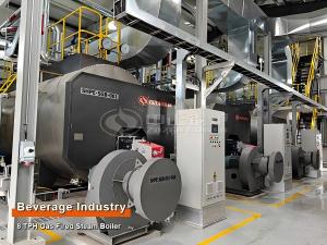 gas-fired steam boilers