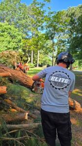 Elite Tree Arborist Services Akransas Hot springs 2