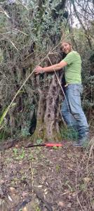 Galilee Eco Center founder Avi Friedman embracing a tree on the land they have begun developing