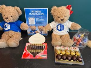 Two plush teddy bears, one in a blue ProServeIT shirt and one in white with a red bow, sitting on a counter next to boxes of chocolates and a welcome sign that reads "Hi! We're Hugo & Hope."