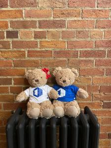 Hope and Hugo teddy bears sitting together on a vintage black radiator against a classic red brick wall background, wearing branded ProServeIT t-shirts.