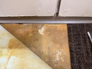 A floor tile in a business being peeled back by an EnviroPro 360 asbestos inspector, showing possible asbestos-containing adhesive under the carpet.