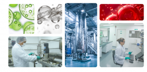 Collage showing lipid droplets, industrial processing equipment, laboratory scientists, and manufacturing facilities representing advanced omega-3 research and production.