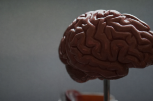 Hormone Optimization. Personalized hormone replacement therapy and optimization protocols using bioidentical hormones to restore energy, mood, and overall wellness.