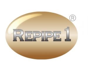he Repipe 1 company logo, featuring the text "REPIPE 1" in a silver, metallic font centered inside a gold-colored oval with a registered trademark symbol.