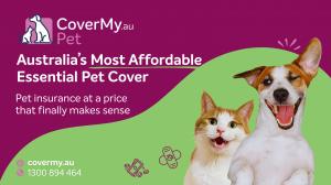 Australia's most affordable dog and cat insurance cover