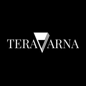 TERAVARNA Art Gallery representing a contemporary art gallery participating in the San Francisco Art Fair 2026.