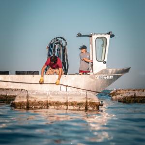 Key Allegro Oyster Company Harvesting Oyster Farm in Aransas Bay