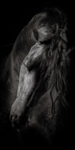 Obsidian, from the Grace Within Shadows series by Photographer Maria Marriott