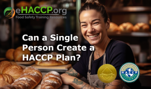Can I make a HACCP Plan on my own?